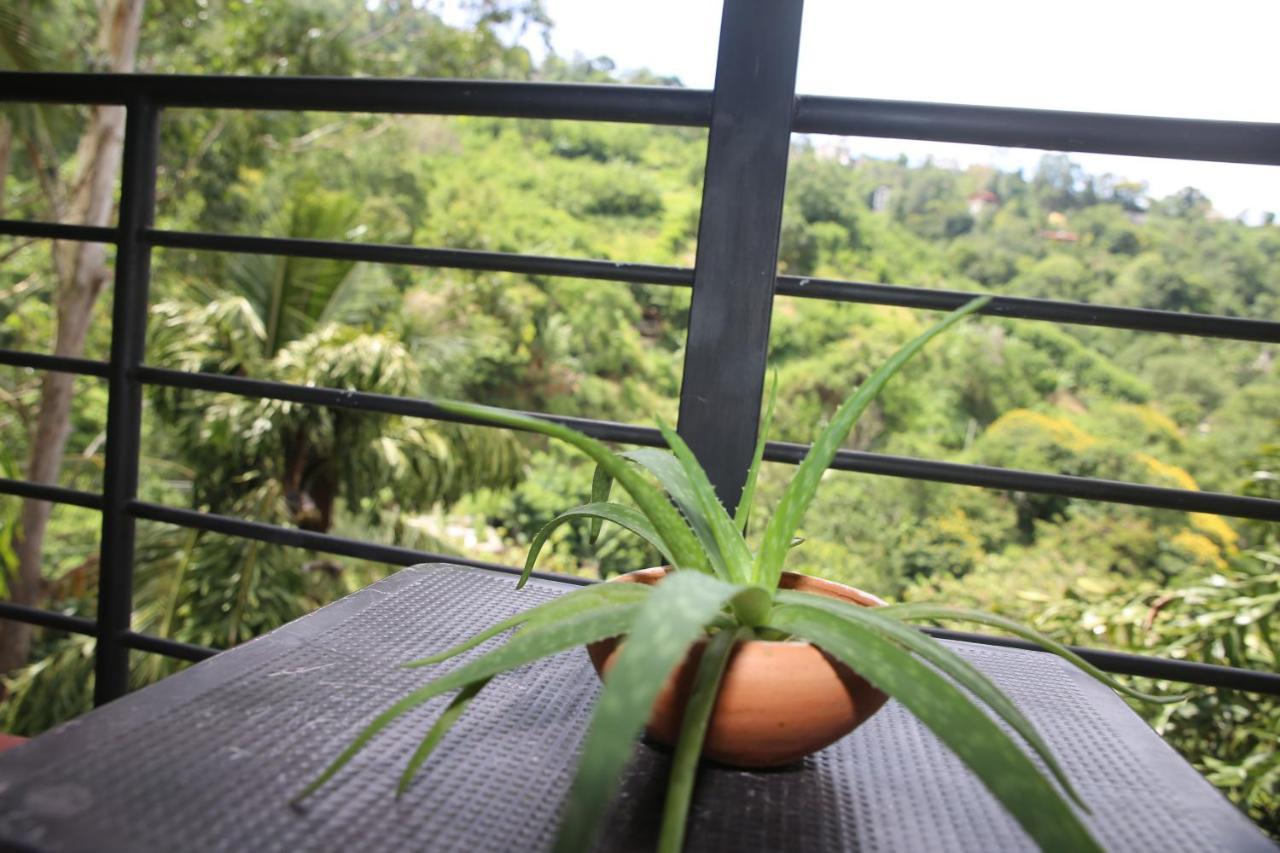 Rawana Mountain View Homestay Ella Esterno foto